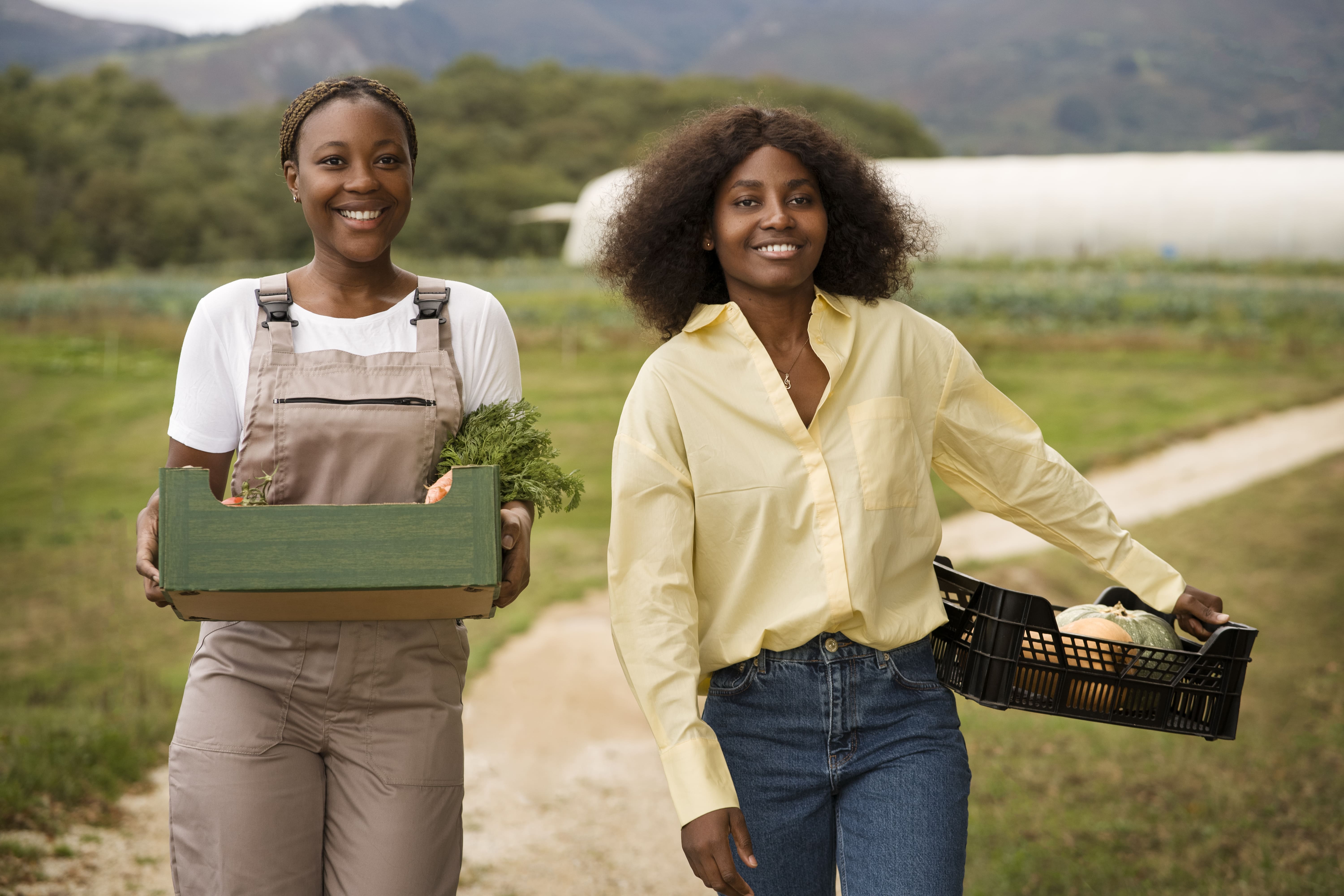 Offre clinic agro